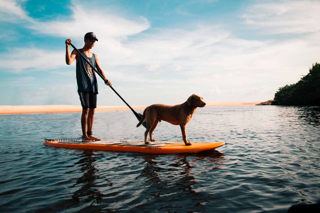 what is standup paddleboarding best paddleboards